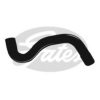 GATES 3981 Radiator Hose